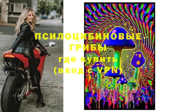 спиды Аркадак